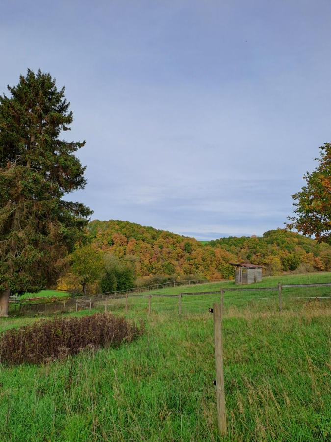Landhaus Eifel Demerath Esterno foto